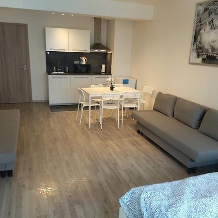 Brand New Studio Apartment #24 In Elite Residence With Free Secure Parking In The Center 布拉格 外观 照片